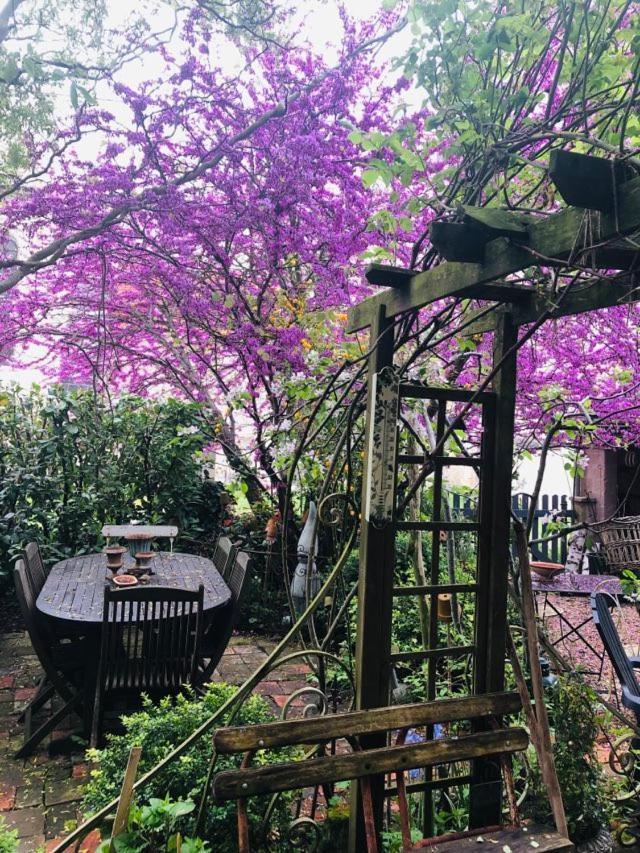 Maison D'Hotes "Les Volets Verts" Et Sa Brocante Ecueille Exterior foto